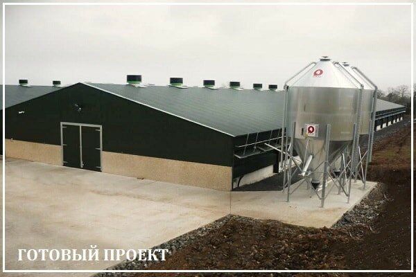 Этапы возведения птицефабрики от завода ВелесТент-тмз